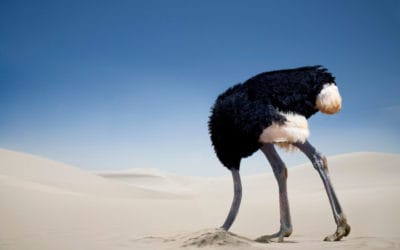 El Avestruz