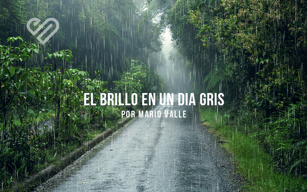 El brillo en un día gris