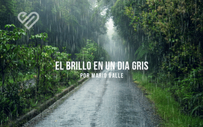 El brillo en un día gris